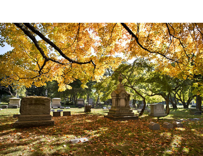 View of Woodlawn Cemetery in the fall. Photograph by Gavin Ashworth. Courtesy The Woodlawn Cemetery. Woodlawn Cemetery in the Fall
